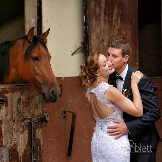 Mariés avec cheval